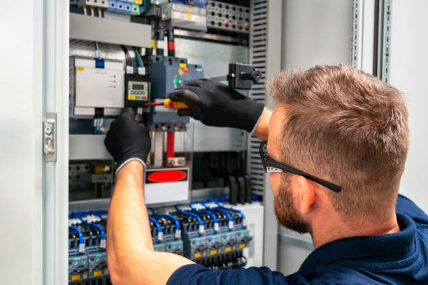 Best Local Electrician Companies  in Grayvle, IL