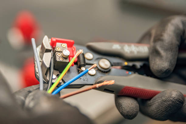 Best Electrician for Home Renovation  in Grayvle, IL