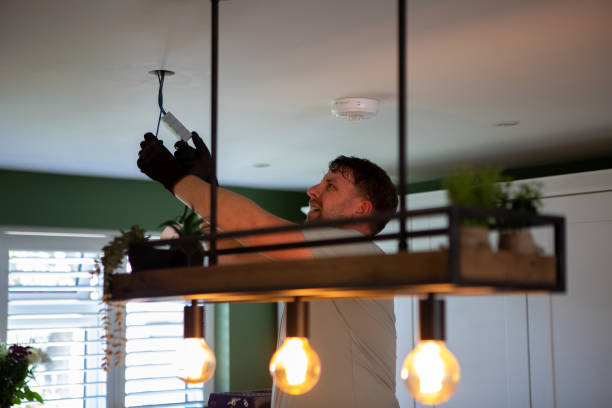 Best Electric Panel Repair  in Grayvle, IL