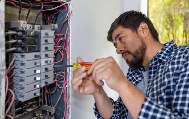 Best Electrician Near Me  in Grayvle, IL